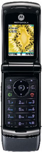 Motorola W355